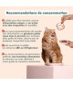 Ziggy Chat Adulte Boeuf Pâtée