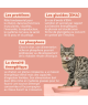 Ziggy Chaton Boeuf Pâtée