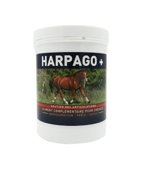 Harpago +