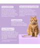 Ziggy Chat Adulte Diabète Porc / Boeuf Pâtée