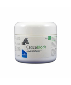 Capsa-Block