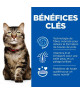 Chat Adult 1+ Hairball & Perfect Coat Poulet