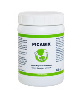 Picagix