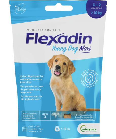 Flexadin Young dog Maxi