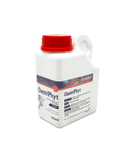 Gastriphyt