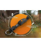 GPS Weenect XT pour chien