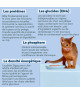 Ziggy Chat Adulte Stérilisé Poisson blanc Pâtée
