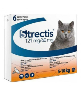 Strectis Chats 5-10 kg