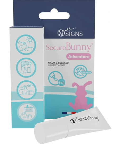 Secure bunny Adventure