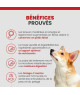 Specific CXD-M Adult Medium Breed
