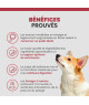Specific CXD-S Adult Small Breed