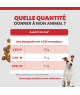 Specific CXW Adult All Breeds