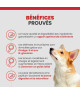 Specific CXW Adult All Breeds