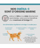 Specific FQD-F Atlantic Sardine