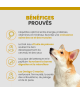 Specific CPD-M Puppy Medium Breed