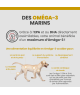Specific CPD-M Puppy Medium Breed