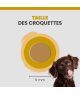 Specific CPD-M Puppy Medium Breed