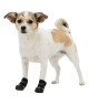 Bottines de protection Trixie Walker Active