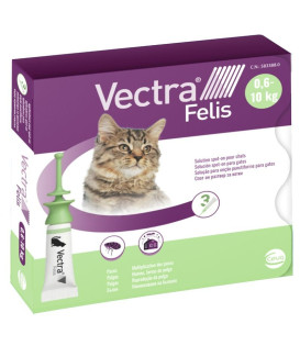 Vectra Felis