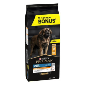 Pro Plan Dog Large Robust Adult Everyday Nutrition Poulet
