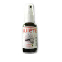 Quietis