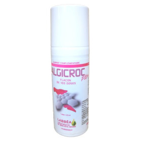 Algicroc Pâte orale