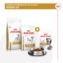 Dog Urinary Treats