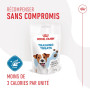 Dog Training Treats
