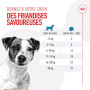 Dog Training Treats