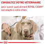 Royal Canin Dental Small Dog