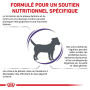 Royal Canin Dental Small Dog