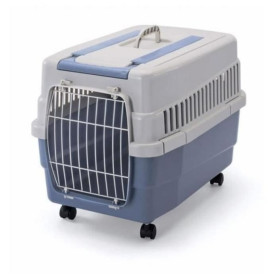 Cage Kim sur roulettes