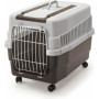 Cage Kim sur roulettes