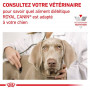Royal Canin Dog Gastrointestinal High Fibre
