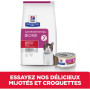 Chat Gastrointestinal Biome Stress Poulet