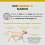Specific CPW Puppy All Breeds