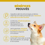 Specific CPW Puppy All Breeds