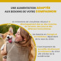 Specific CPW Puppy All Breeds