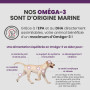 Specific CGD-M Senior Medium Breed