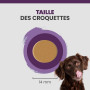 Specific CGD-xl Senior Large & giant Breed