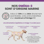 Specific CGW Senior All Breeds