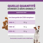 Specific CGW Senior All Breeds