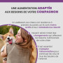 Specific CGW Senior All Breeds
