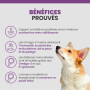 Specific CGW Senior All Breeds