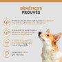 Hypoallergenic Treats Ct-Hy