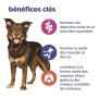 benefice clés hill's chien multi benefit