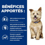 Chien K/D