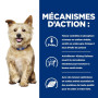 Chien K/D