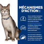 mecanisme action croquette chat hills
