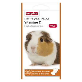 vitamine c cochon d inde